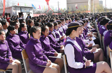 为什么<font color=
