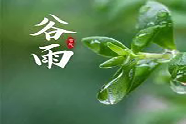 【谷雨节气】春天的最后一个节气——谷雨