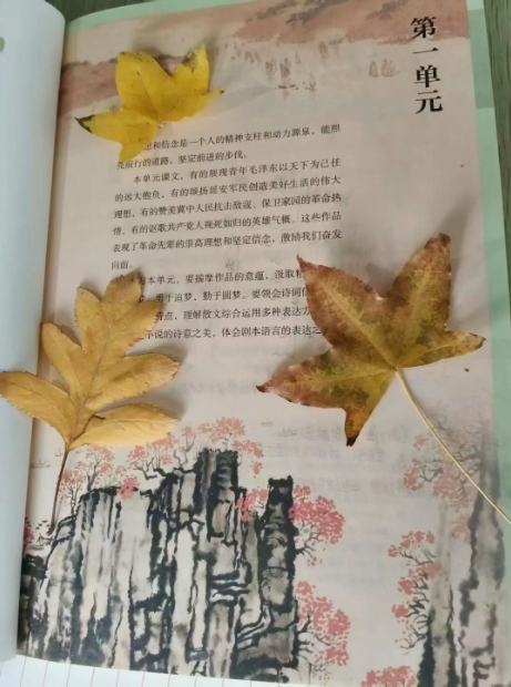 1 1